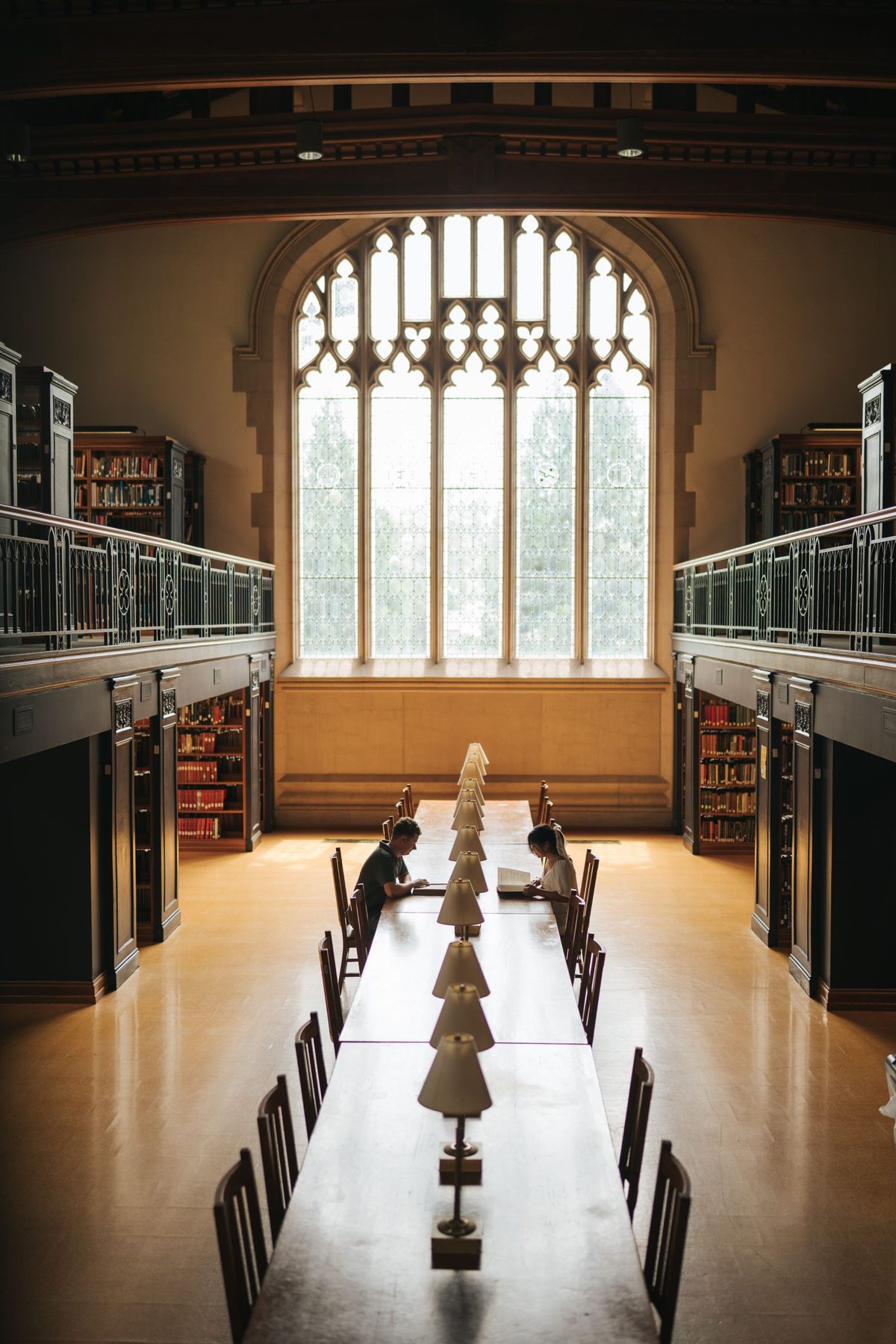 Cozy study session in vassar college library. Photo by Joel Zar
