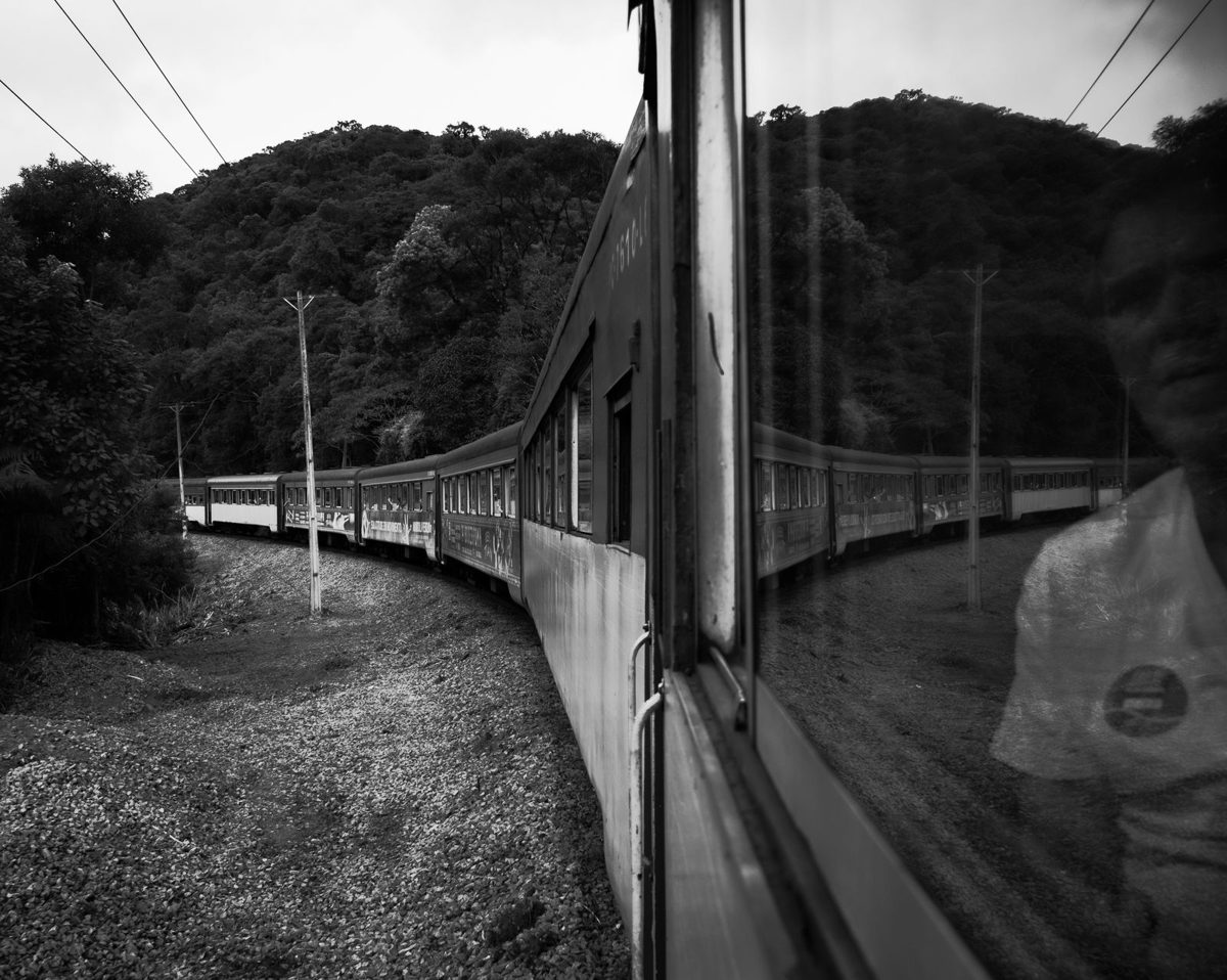 Scenic train journey in morretes brazil. Photo by Daniel Emmerick
