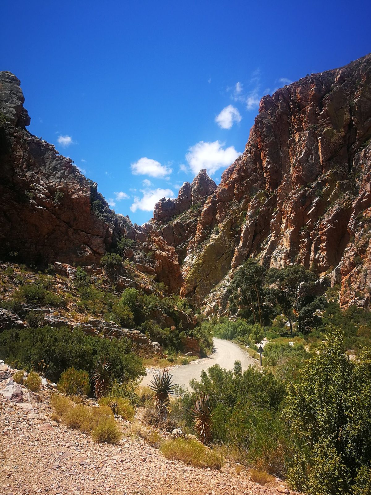 Dramatic rock formations in western cape. Photo by Lee Vosloo